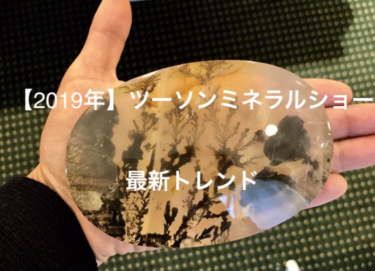 ツーソン ミネラルショー