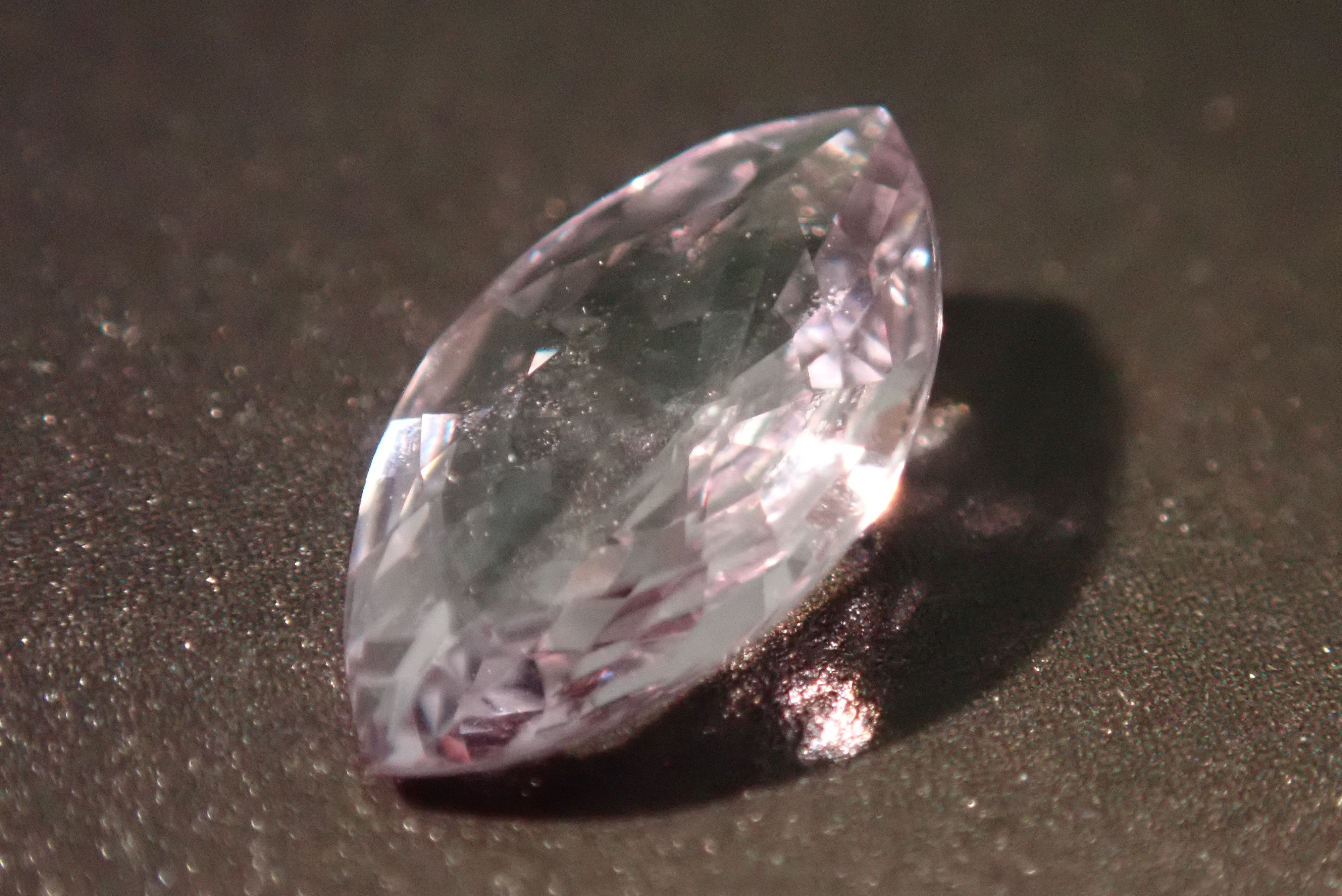 ターフェアイト ルース